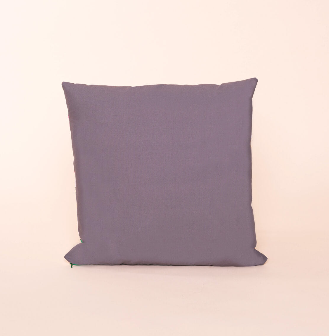 A Nod to The House Bird 20x20” Cushion Cover
