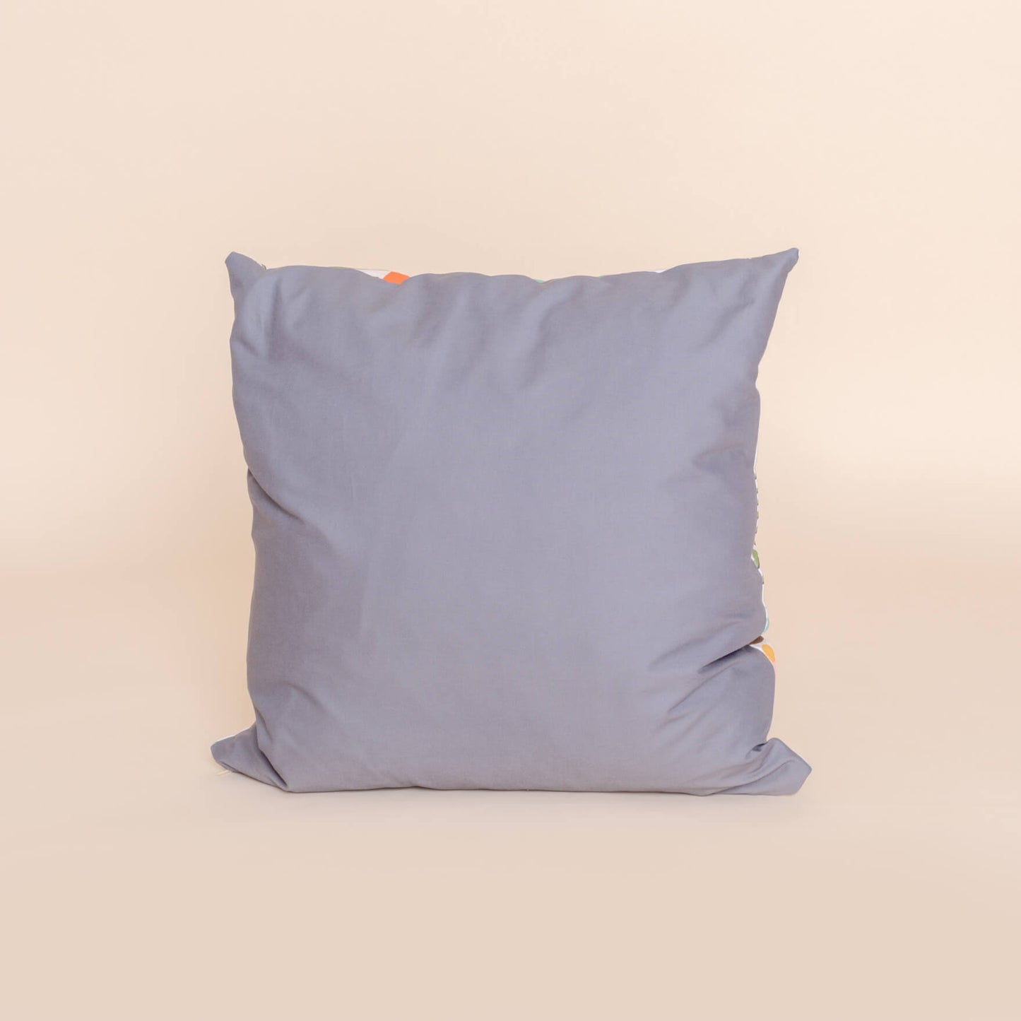 Kate Rhees Blue Footed Boobies 6” 18x18” Cushion Cover
