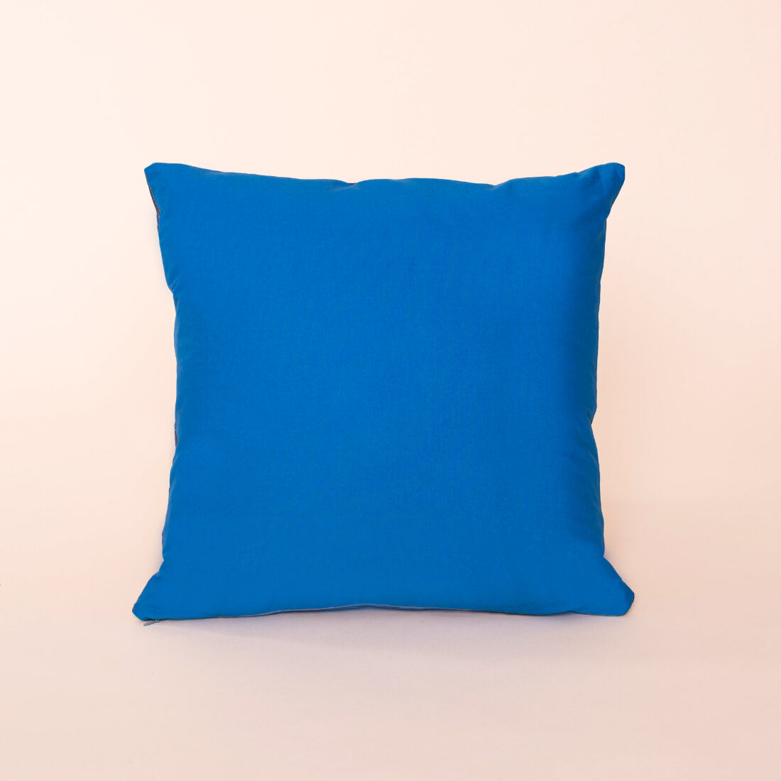 Kate Rhees Jar of Jellyfish 18” 18x18” Cushion Cover